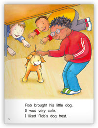 Pet Day from Kaleidoscope Collection