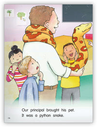 Pet Day from Kaleidoscope Collection