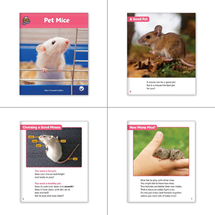 Pets Theme Set (6-Packs)
