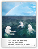 Polar Bears from Kaleidoscope Collection