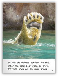 Polar Bears from Kaleidoscope Collection