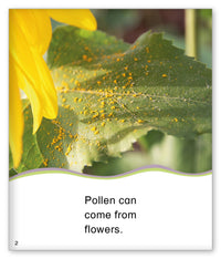 Pollen from Kid Lit