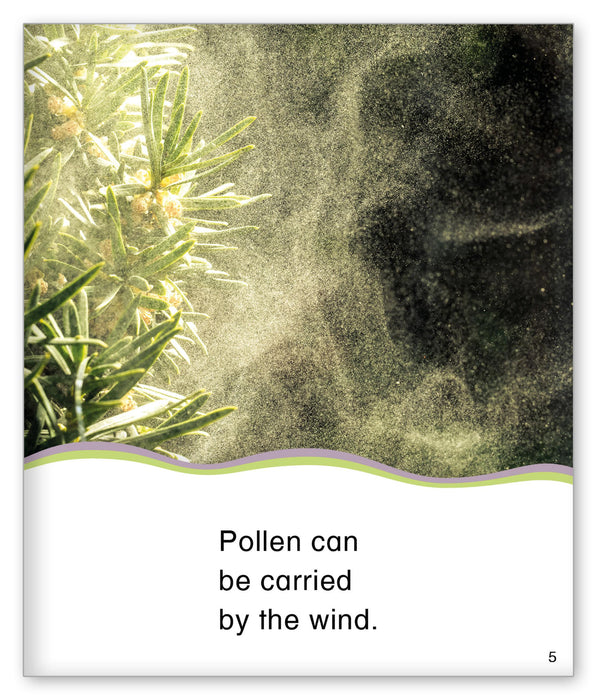 Pollen from Kid Lit