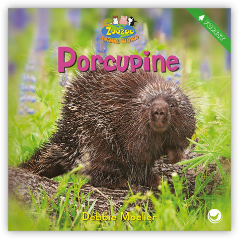 Porcupine from Zoozoo Animal World