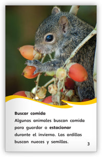 Preparándose para el invierno from Fábulas y el Mundo Real