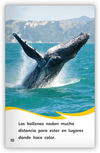 Preparándose para el invierno from Fábulas y el Mundo Real