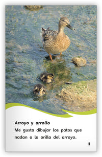 ¿Puede ser bello el vello? Palabras que suenan igual Leveled Book