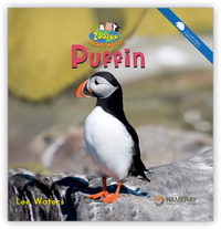 Puffin