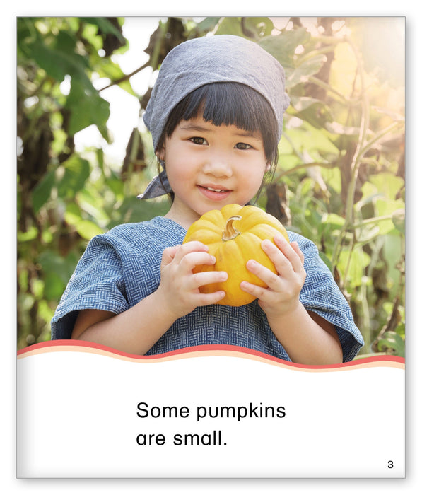 Pumpkins from Kid Lit