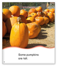 Pumpkins from Kid Lit