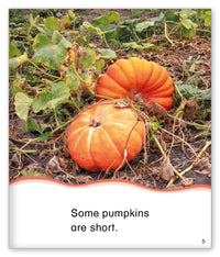 Pumpkins from Kid Lit