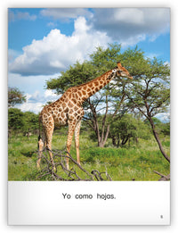 Colección Caleidoscopio Big Book Set 3