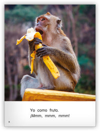 ¿Qué comen? Big Book