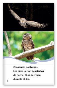 ¿Qué comen los búhos? from Fábulas y el Mundo Real