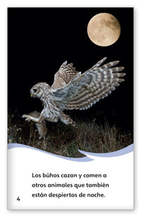 ¿Qué comen los búhos? from Fábulas y el Mundo Real