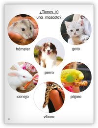 ¿Qué es una mascota?