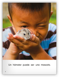 ¿Qué es una mascota? Big Book