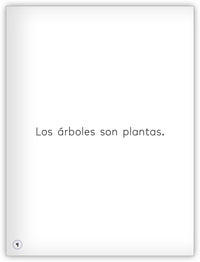 ¿Qué son las plantas?