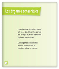 ¿Qué son los cinco sentidos?