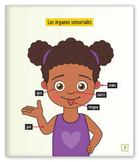 ¿Qué son los cinco sentidos?