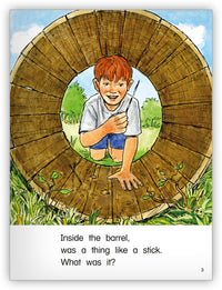 Quills from Kaleidoscope Collection