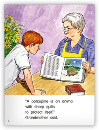 Quills from Kaleidoscope Collection