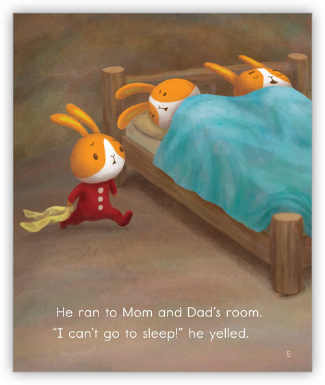 Rabbit Bedtime - Joy Cowley Early Birds - Hameray Publishing