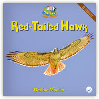 Red-Tailed Hawk from Zoozoo Animal World