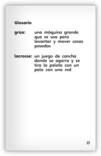 Redes para trabajar y jugar Leveled Book