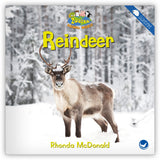 Reindeer from Zoozoo Animal World