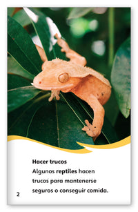 Reptiles que hacen trucos from Fábulas y el Mundo Real