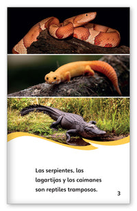 Reptiles que hacen trucos from Fábulas y el Mundo Real