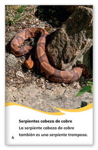 Reptiles que hacen trucos from Fábulas y el Mundo Real