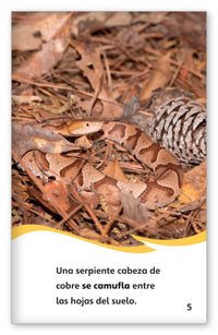 Reptiles que hacen trucos from Fábulas y el Mundo Real