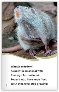 Rodents