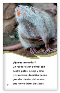 Roedores from Fábulas y el Mundo Real