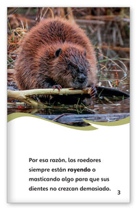 Roedores from Fábulas y el Mundo Real