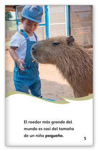 Roedores from Fábulas y el Mundo Real