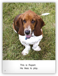 Rupert Likes to Play Big Book