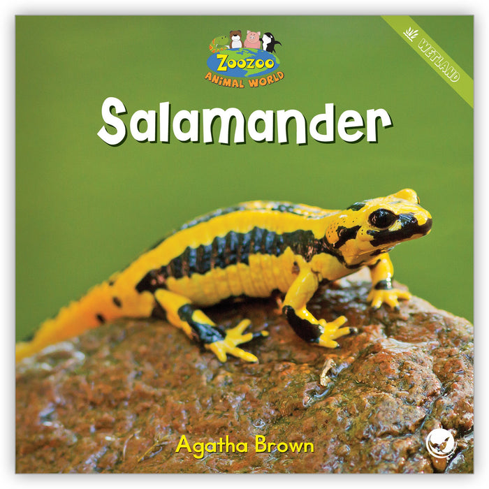 Salamander from Zoozoo Animal World