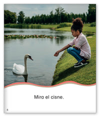 ¡Saltar, brincar, salpicar!