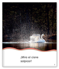 ¡Saltar, brincar, salpicar!