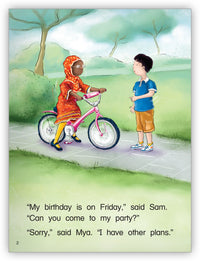 Sam's Birthday Big Book