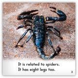 Scorpion from Zoozoo Animal World