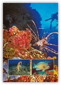 Scuba School from Underwater Encounters