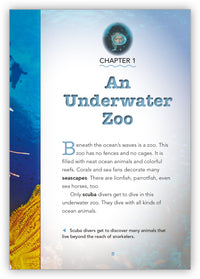 Scuba School from Underwater Encounters