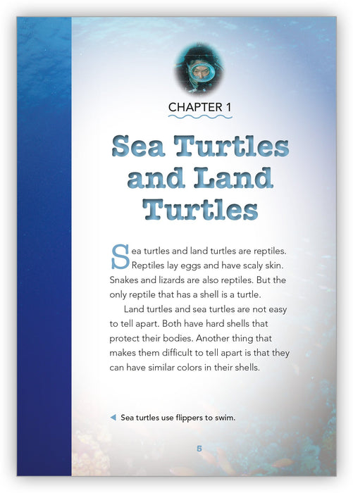 Sea Turtles from Underwater Encounters