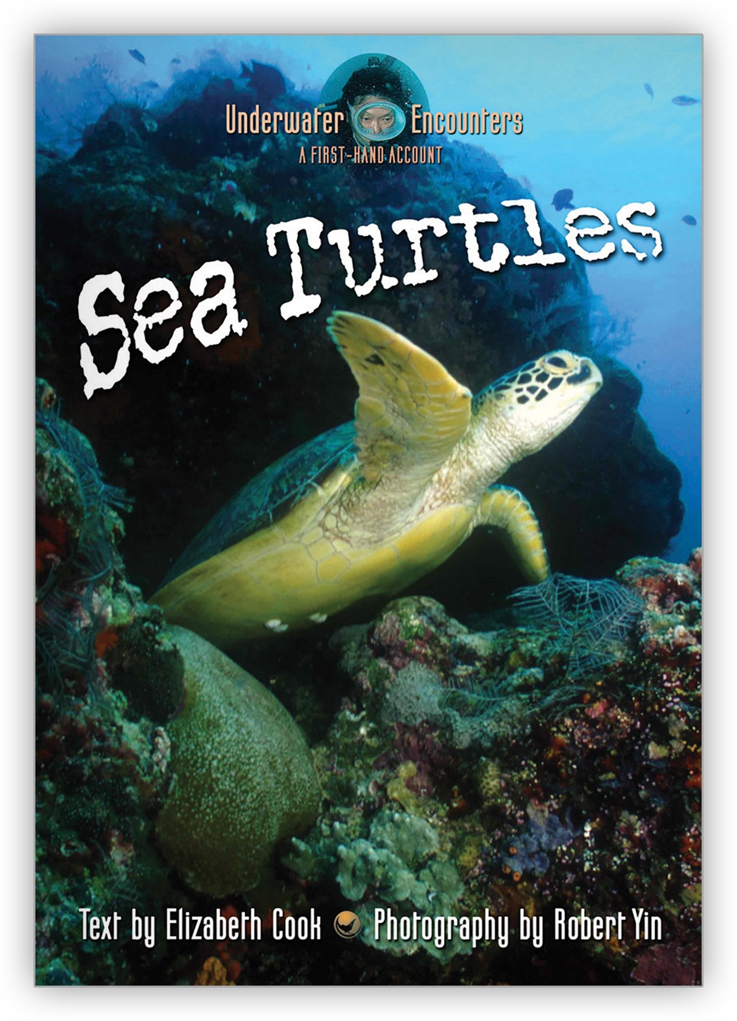 Sea Turtles from Underwater Encounters