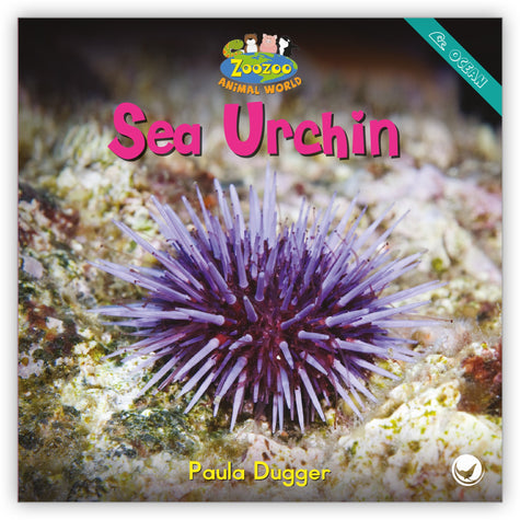 Sea Urchin from Zoozoo Animal World