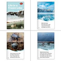 Seasons & Weather Theme Set (6-Packs)